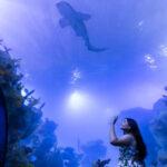 aquario3