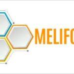 logo-guia-melifort